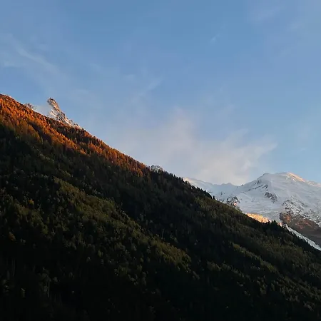 Mont-blanc View - Panoramic Balcony - Centre דירה שאמוני