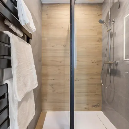 Center & Unique Mountain View Chamonix